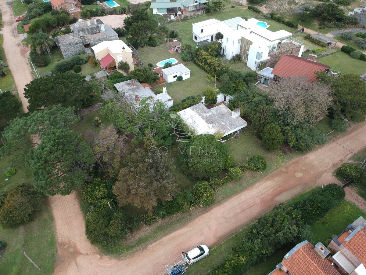 Tio Tom - GoPunta - Portal Inmobiliario de Punta del Este - Maldonado
