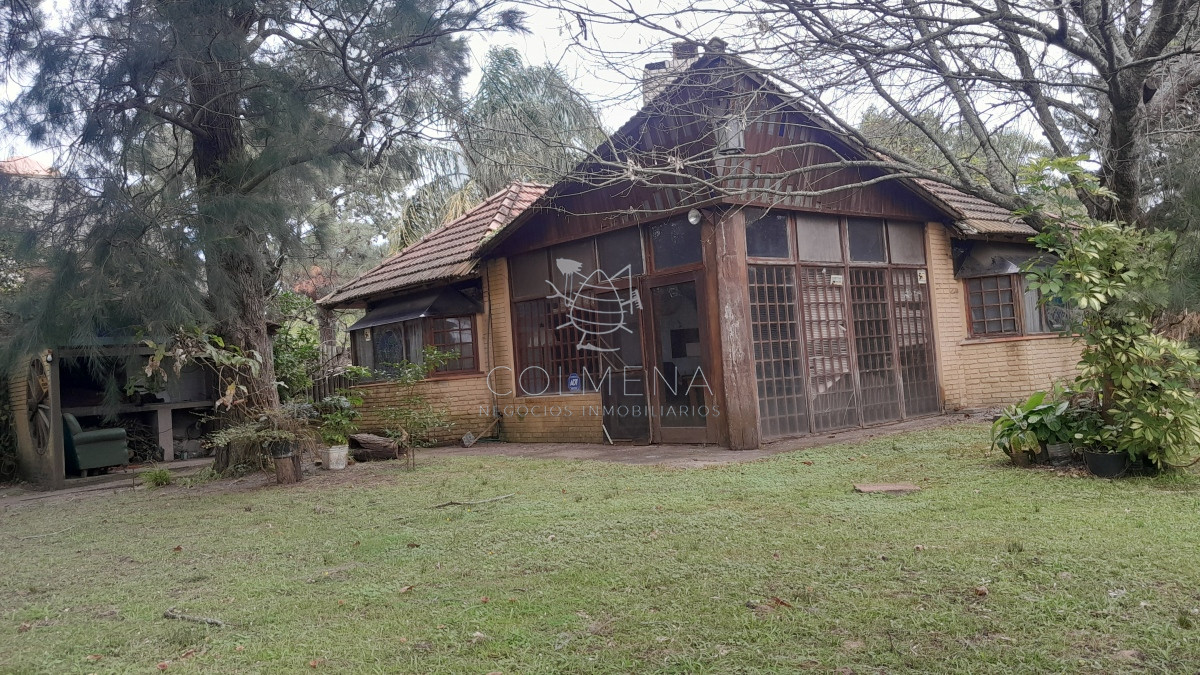 Tio Tom - GoPunta - Portal Inmobiliario de Punta del Este - Maldonado