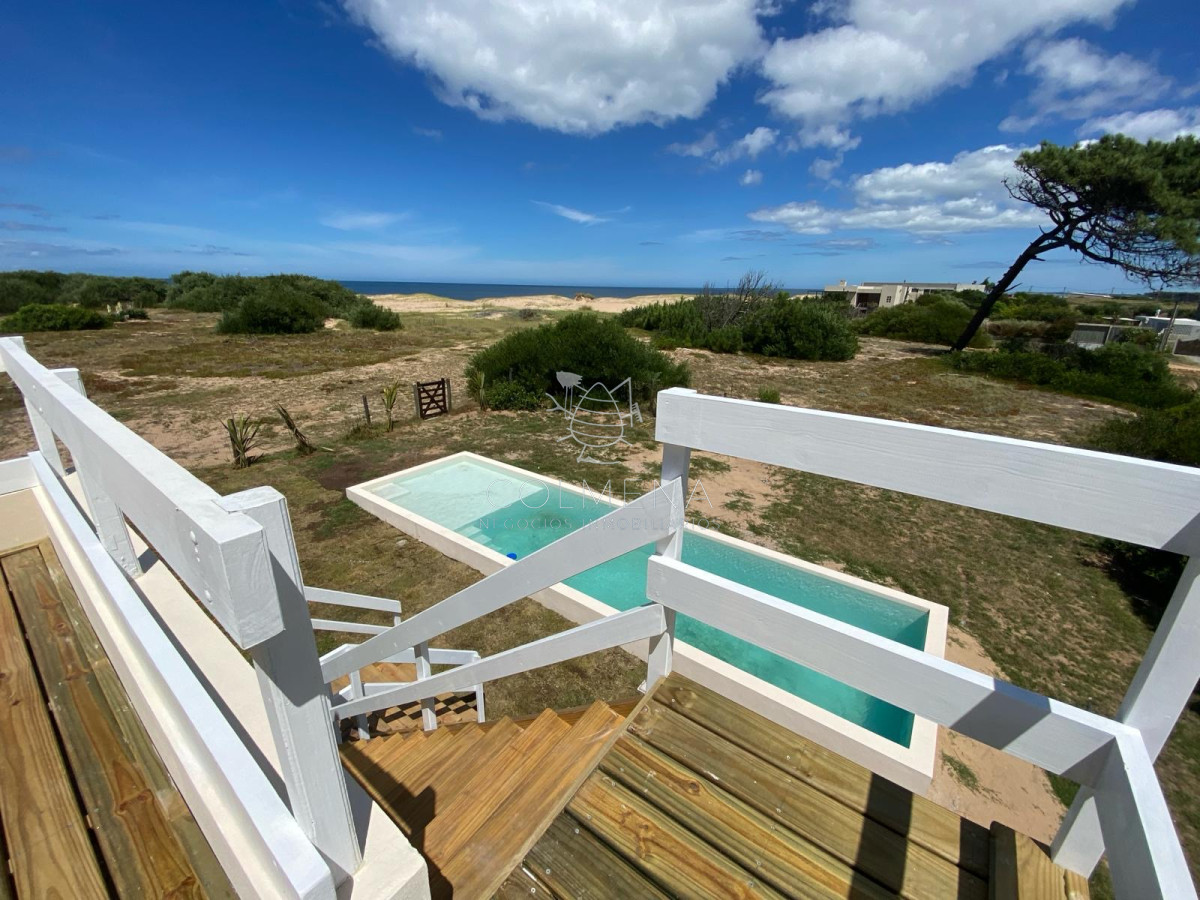 Chihuahua - GoPunta - Portal Inmobiliario de Punta del Este - Maldonado