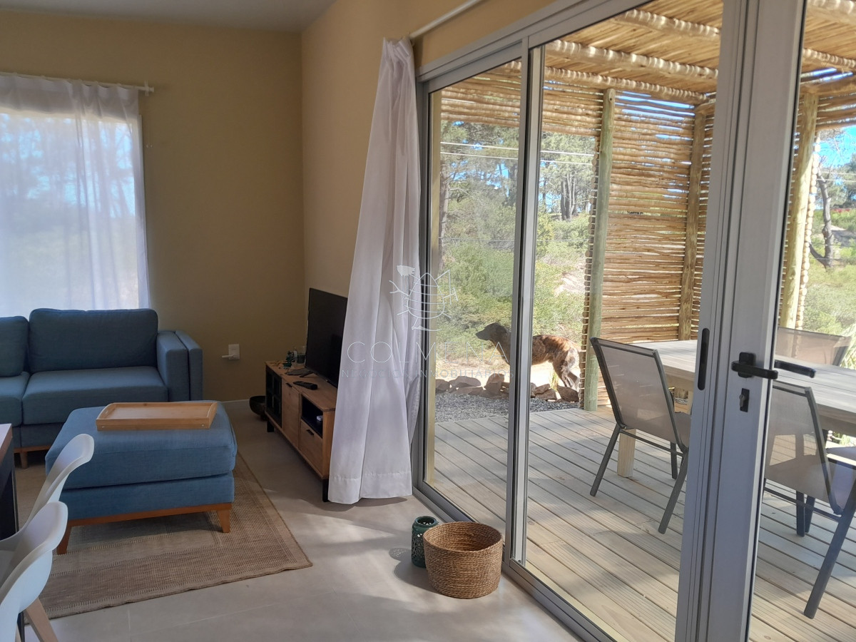 Chihuahua - GoPunta - Portal Inmobiliario de Punta del Este - Maldonado