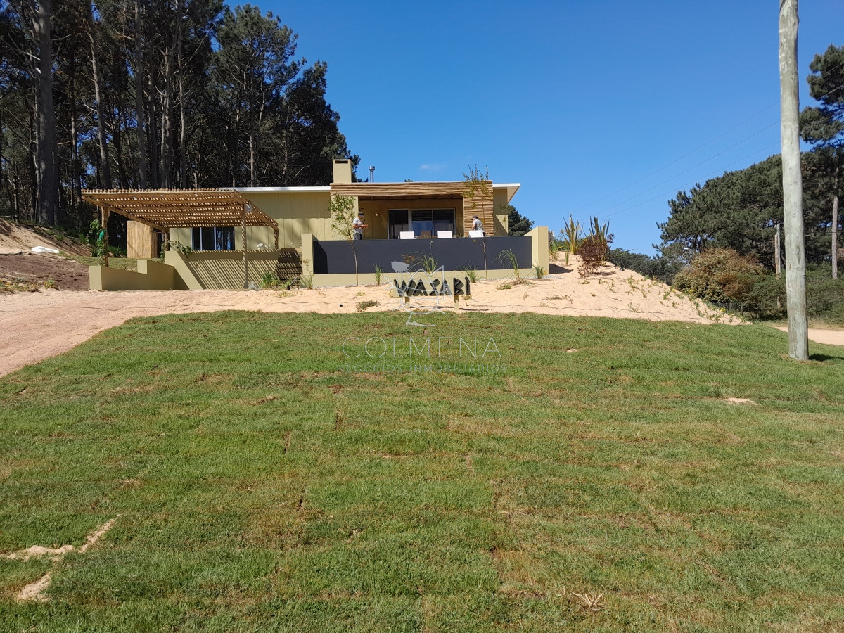 Chihuahua - GoPunta - Portal Inmobiliario de Punta del Este - Maldonado