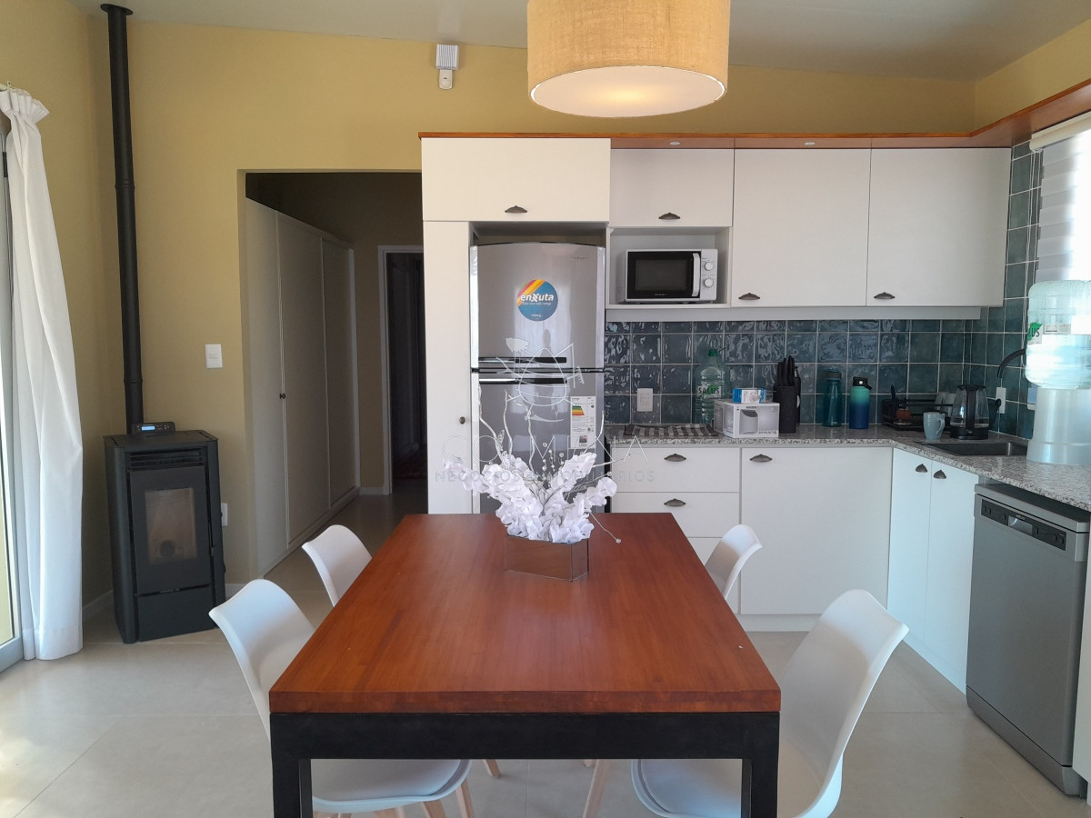 Chihuahua - GoPunta - Portal Inmobiliario de Punta del Este - Maldonado