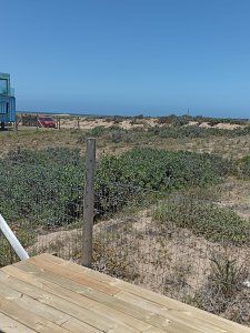 Sauce de Portezuelo - GoPunta - Portal Inmobiliario de Punta del Este - Maldonado