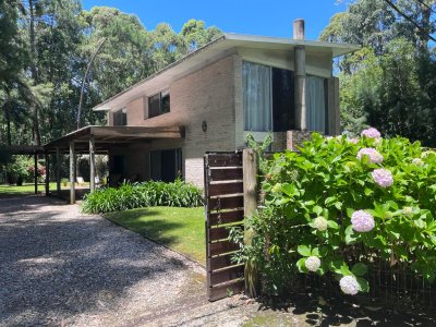 Punta Ballena - Barrio Zona Portezuelo bosque