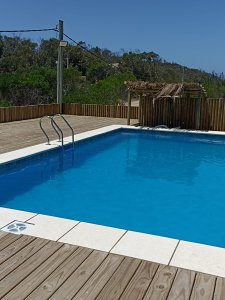 Sauce de Portezuelo - GoPunta - Portal Inmobiliario de Punta del Este - Maldonado