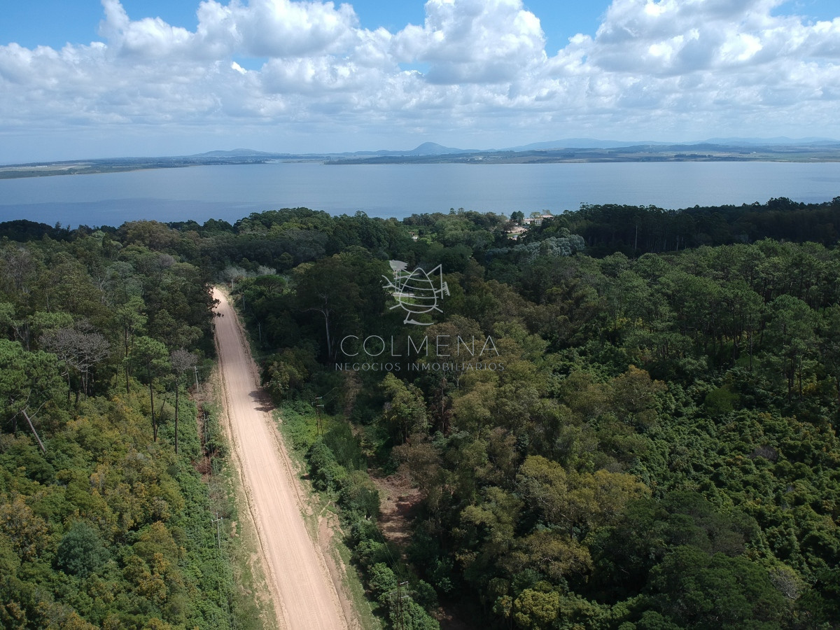 Las Cumbres - GoPunta - Portal Inmobiliario de Punta del Este - Maldonado