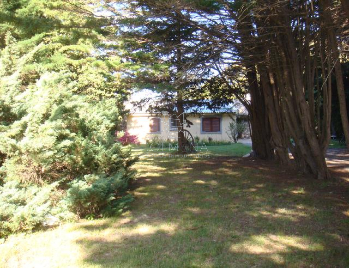Camino Lussich - GoPunta - Portal Inmobiliario de Punta del Este - Maldonado