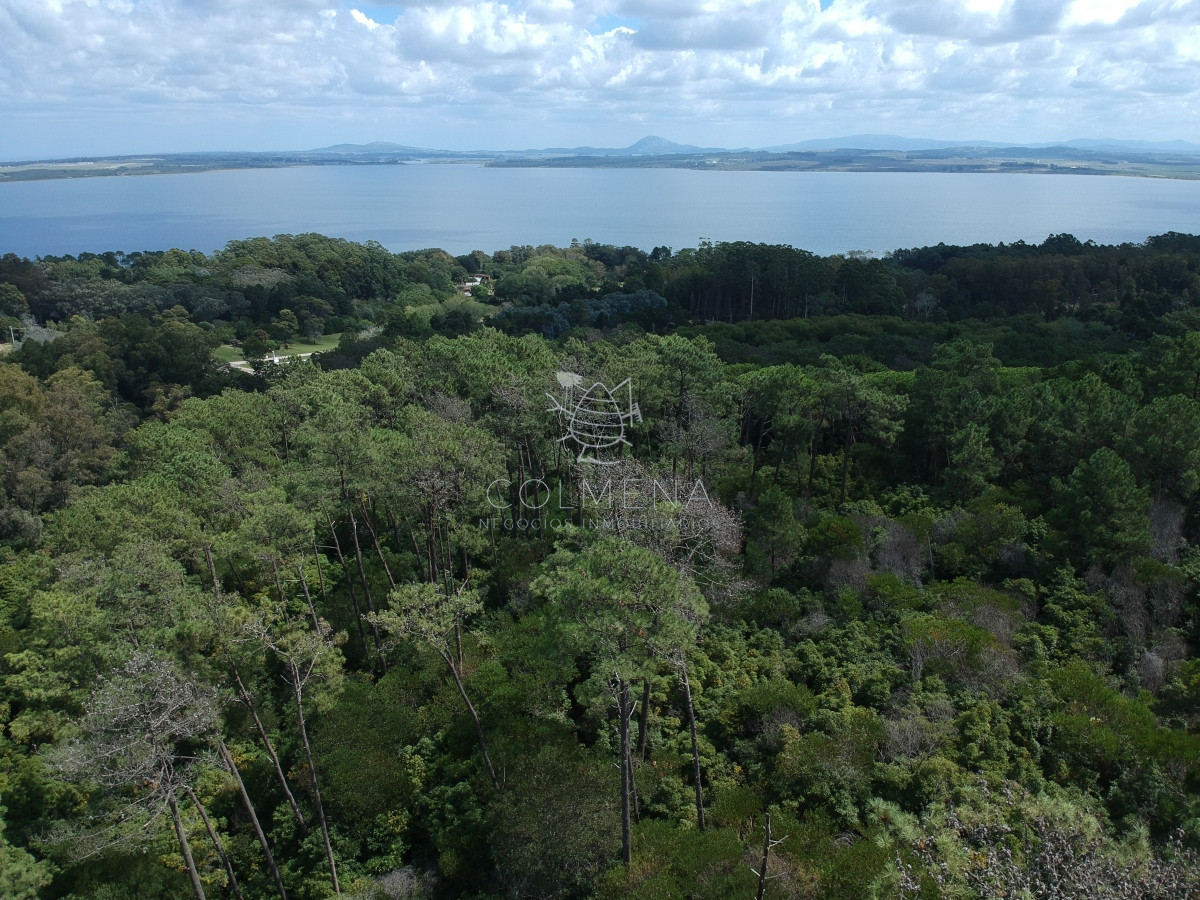 Las Cumbres - GoPunta - Portal Inmobiliario de Punta del Este - Maldonado