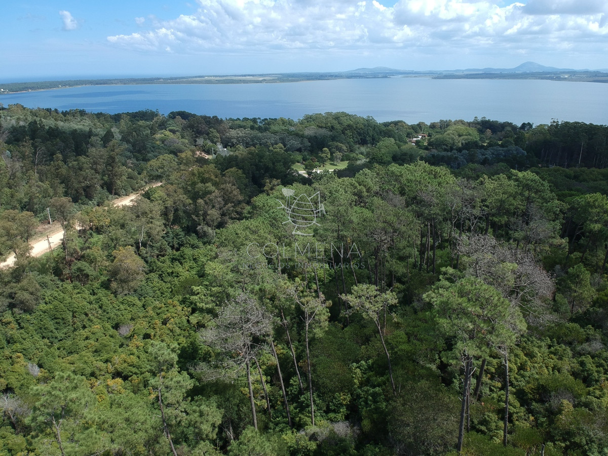 Las Cumbres - GoPunta - Portal Inmobiliario de Punta del Este - Maldonado