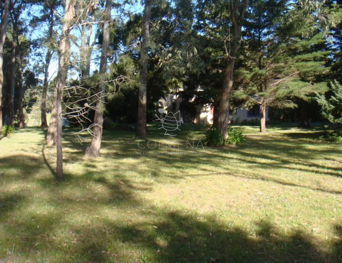Camino Lussich - GoPunta - Portal Inmobiliario de Punta del Este - Maldonado