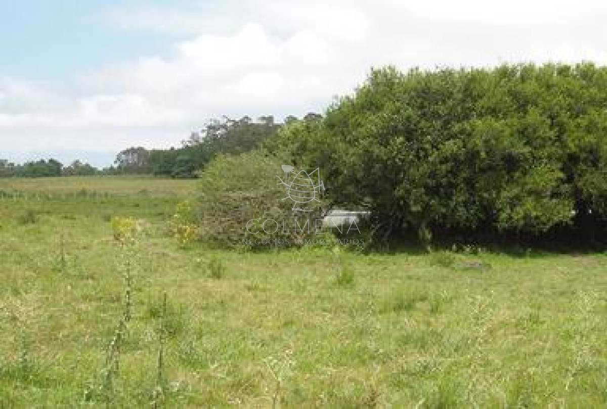La Pataia - GoPunta - Portal Inmobiliario de Punta del Este - Maldonado