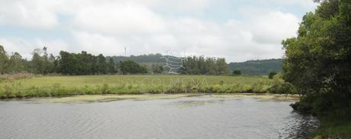 La Pataia - GoPunta - Portal Inmobiliario de Punta del Este - Maldonado
