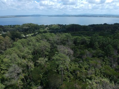 Chacra en Las Cumbres de la Ballena