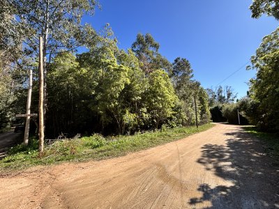 terreno esquina en la laguna del sauce  - col10115t