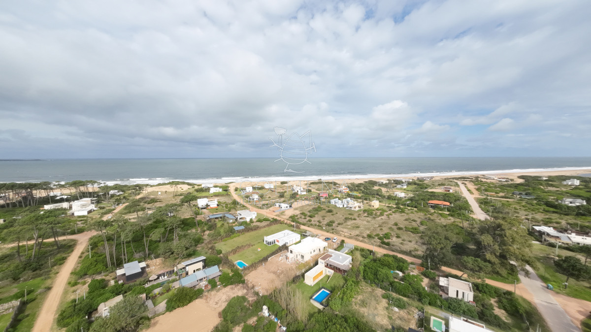 Chihuahua - GoPunta - Portal Inmobiliario de Punta del Este - Maldonado