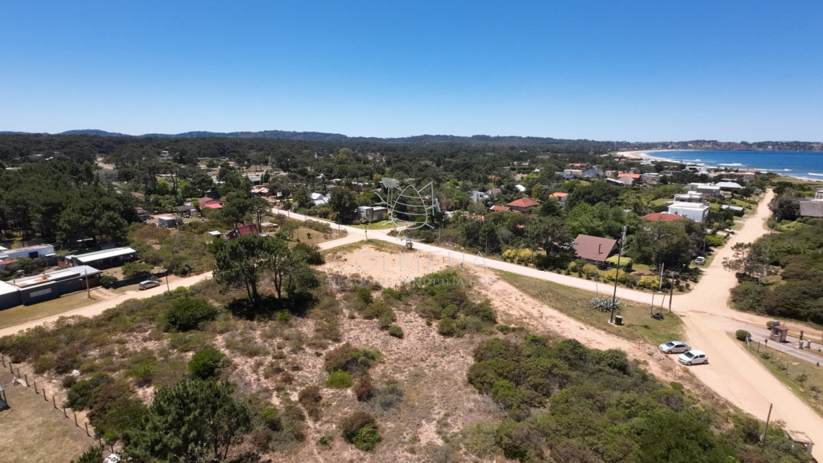 Tio Tom - GoPunta - Portal Inmobiliario de Punta del Este - Maldonado