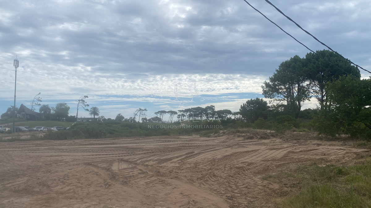 Tio Tom - GoPunta - Portal Inmobiliario de Punta del Este - Maldonado