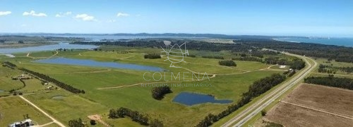 Laguna de los Cisnes - GoPunta - Portal Inmobiliario de Punta del Este - Maldonado