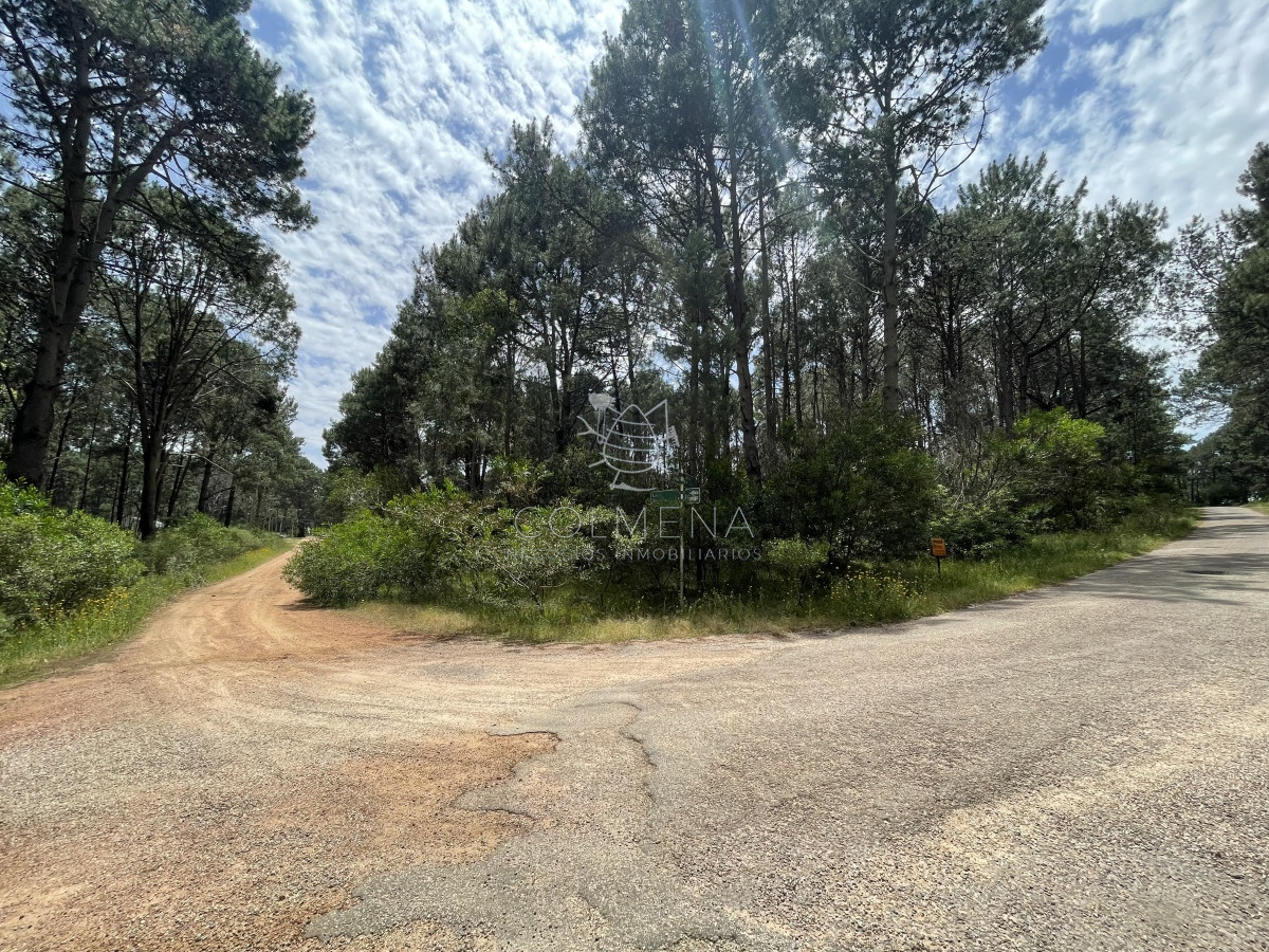 Club del Lago - GoPunta - Portal Inmobiliario de Punta del Este - Maldonado