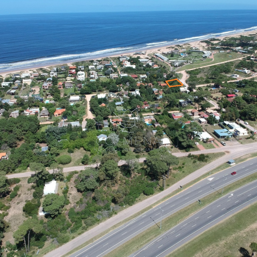 Tio Tom - GoPunta - Portal Inmobiliario de Punta del Este - Maldonado