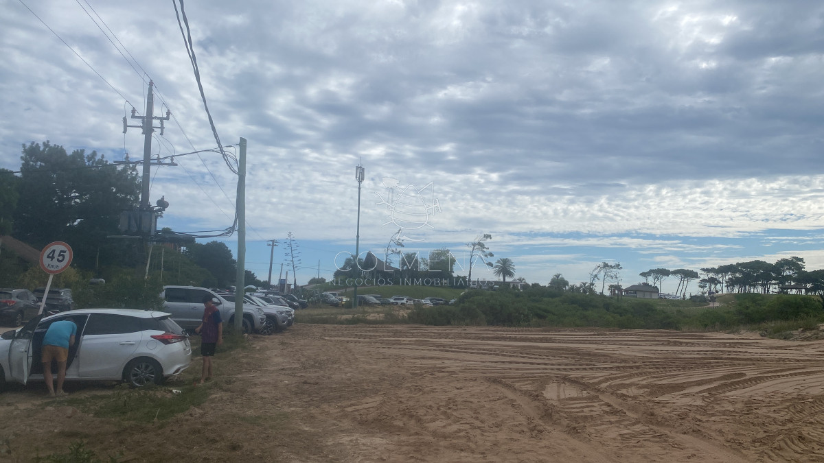 Tio Tom - GoPunta - Portal Inmobiliario de Punta del Este - Maldonado