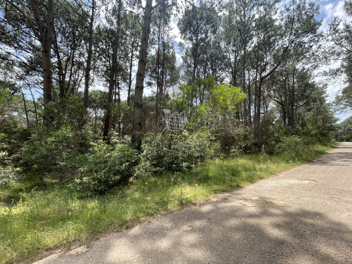 Club del Lago - GoPunta - Portal Inmobiliario de Punta del Este - Maldonado