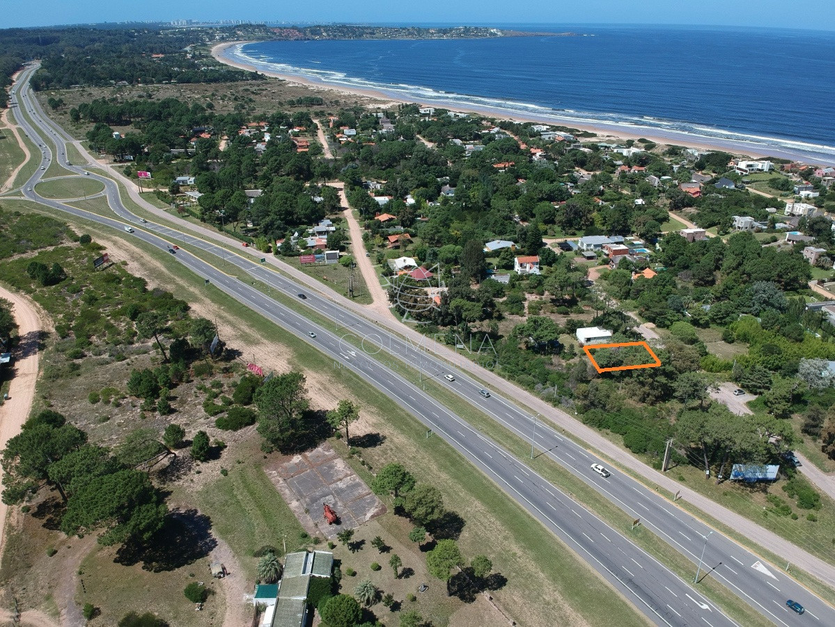 Tio Tom - GoPunta - Portal Inmobiliario de Punta del Este - Maldonado