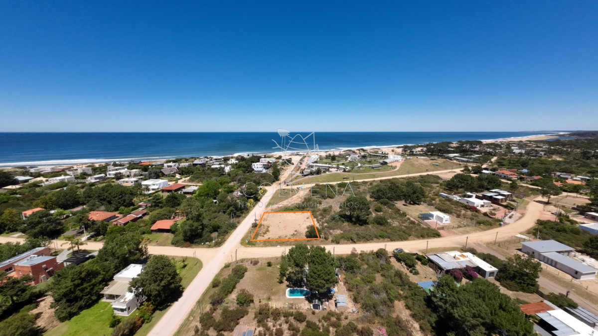Tio Tom - GoPunta - Portal Inmobiliario de Punta del Este - Maldonado