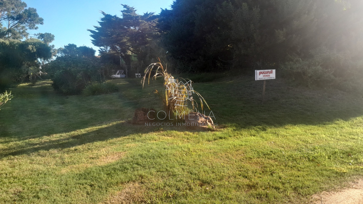 Tio Tom - GoPunta - Portal Inmobiliario de Punta del Este - Maldonado