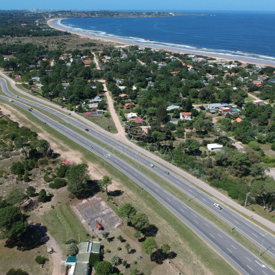 Tio Tom - GoPunta - Portal Inmobiliario de Punta del Este - Maldonado