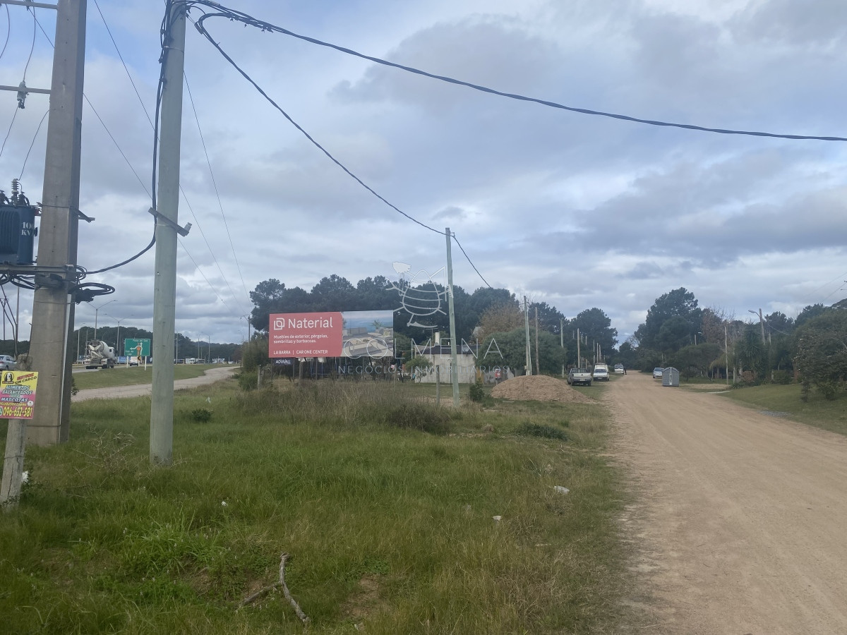 Tio Tom - GoPunta - Portal Inmobiliario de Punta del Este - Maldonado
