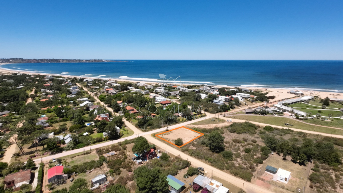 Tio Tom - GoPunta - Portal Inmobiliario de Punta del Este - Maldonado