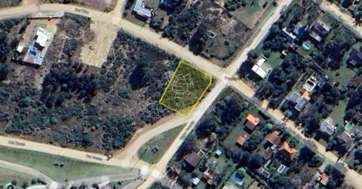 Tio Tom - GoPunta - Portal Inmobiliario de Punta del Este - Maldonado