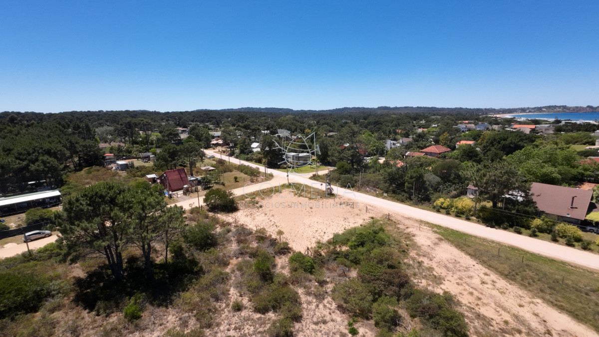 Tio Tom - GoPunta - Portal Inmobiliario de Punta del Este - Maldonado