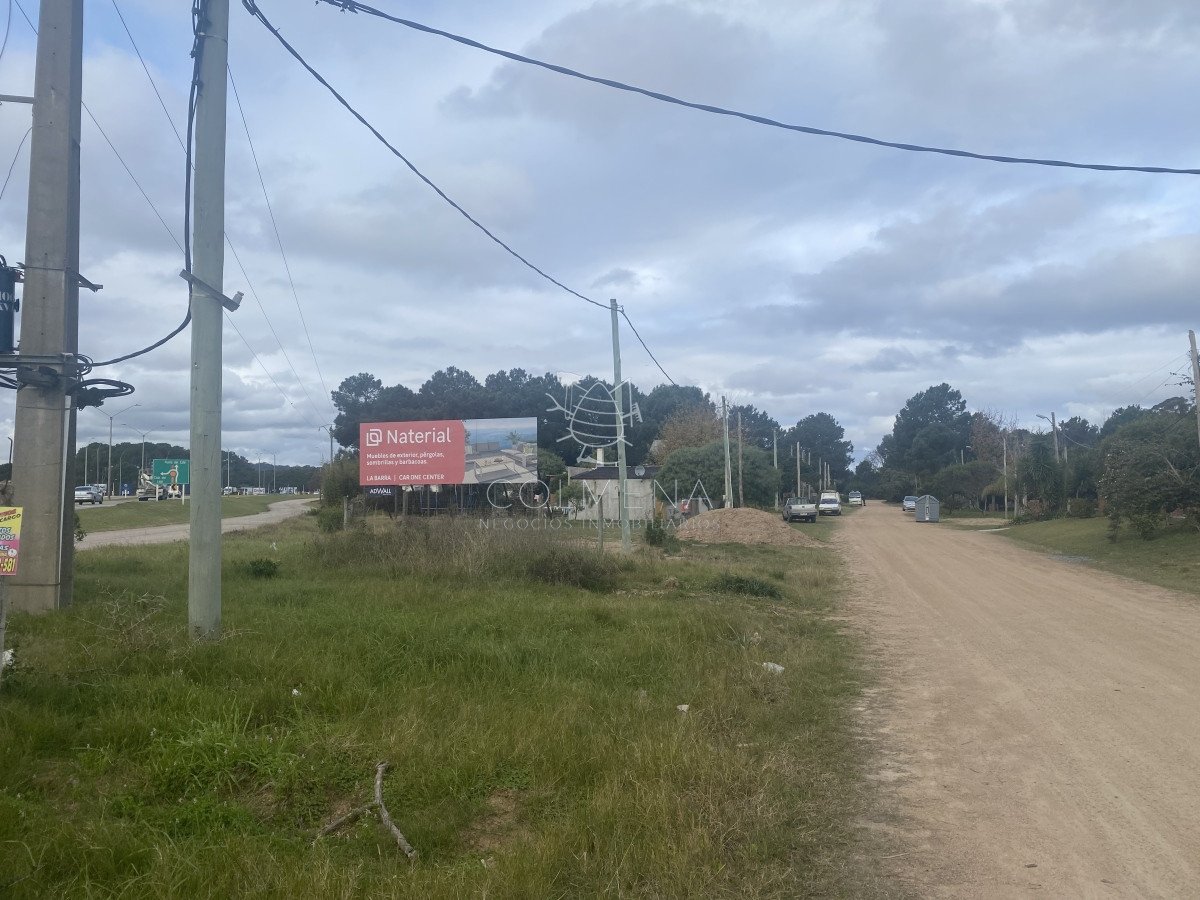 Tio Tom - GoPunta - Portal Inmobiliario de Punta del Este - Maldonado