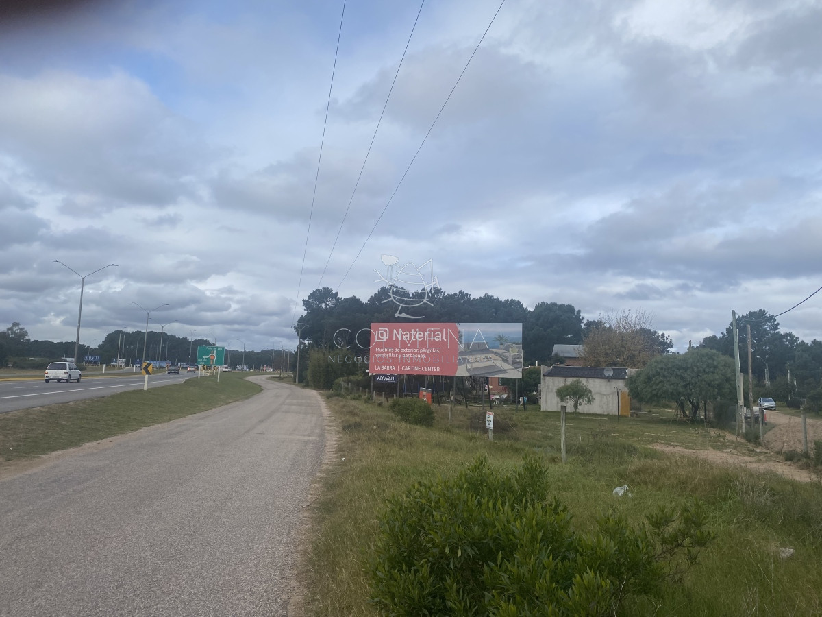 Tio Tom - GoPunta - Portal Inmobiliario de Punta del Este - Maldonado