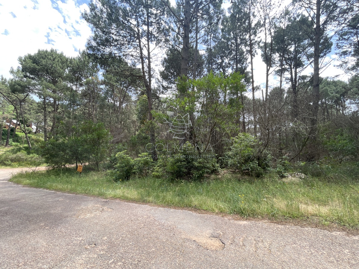 Club del Lago - GoPunta - Portal Inmobiliario de Punta del Este - Maldonado
