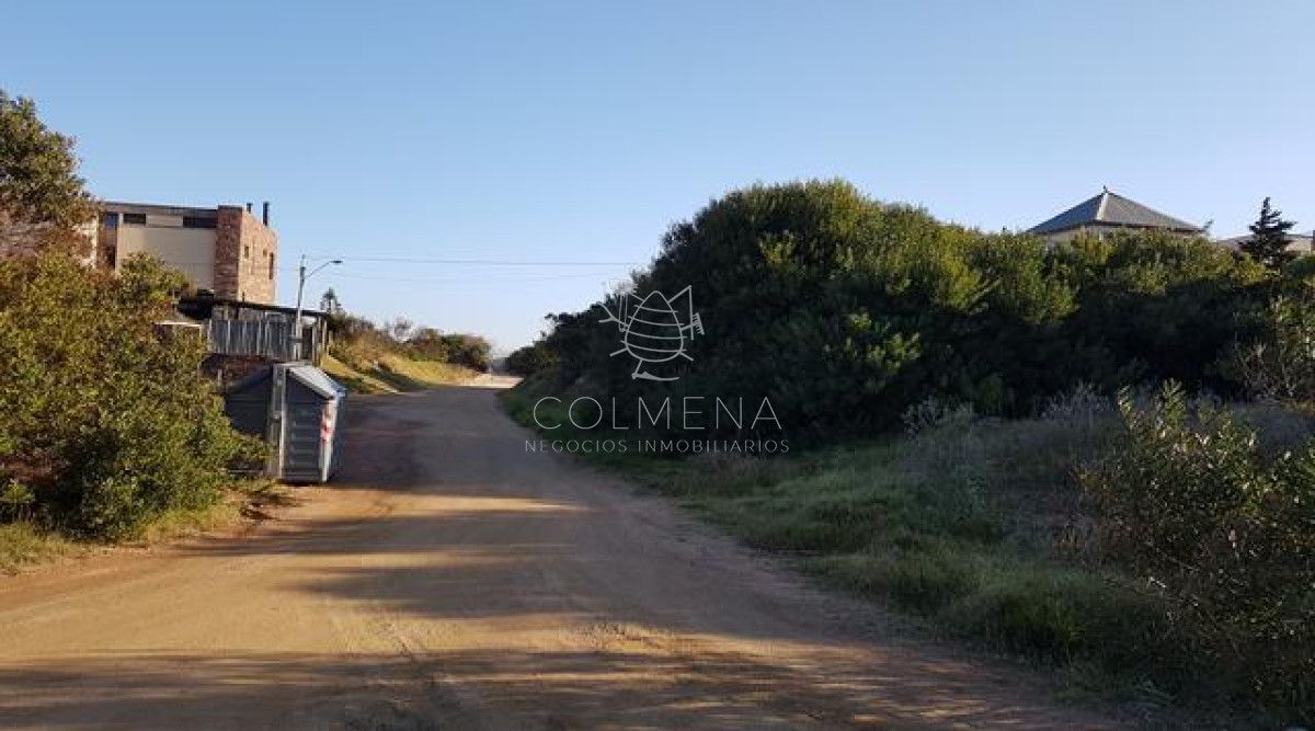 Tio Tom - GoPunta - Portal Inmobiliario de Punta del Este - Maldonado