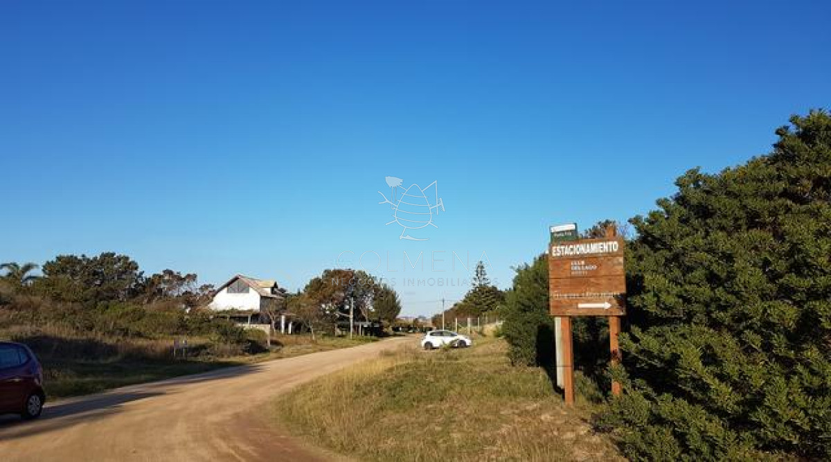 Tio Tom - GoPunta - Portal Inmobiliario de Punta del Este - Maldonado