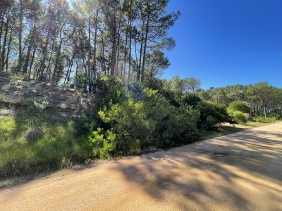 Terreno Chihuahua