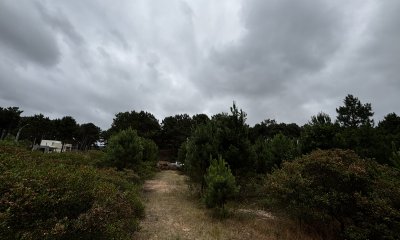 Terreno en Punta Ballena, Chihuahua