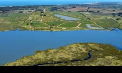 Terreno en Punta Ballena, Laguna de los Cisnes