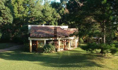 Solanas