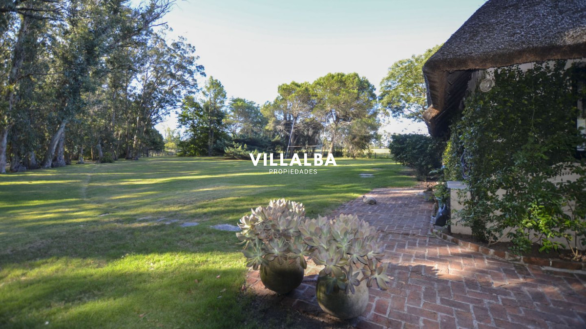 Chacra ID.4537 - 