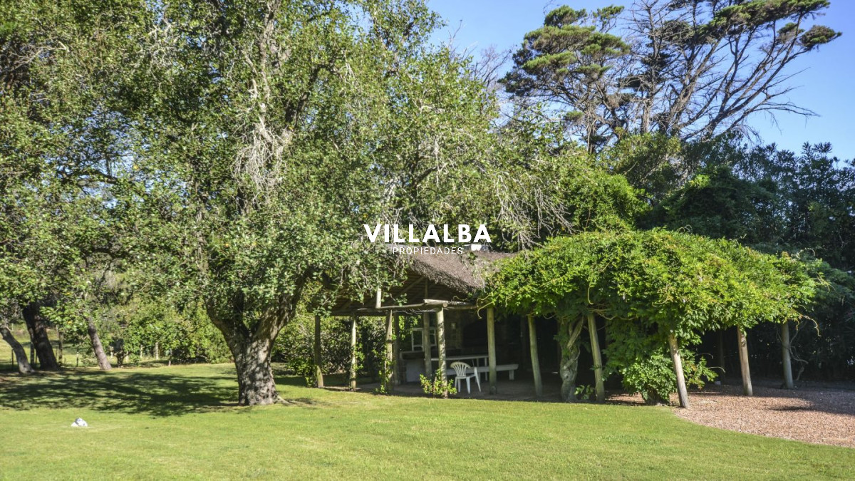 Chacra ID.4537 - 