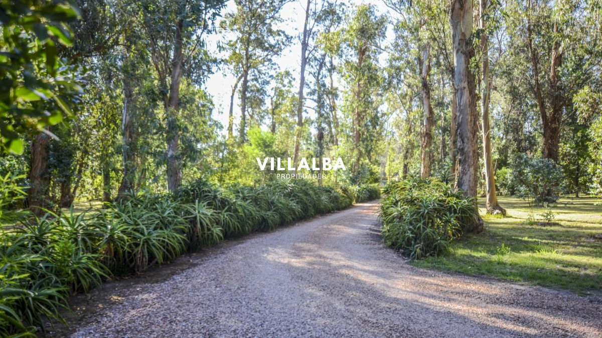 Chacra ID.4537 - 