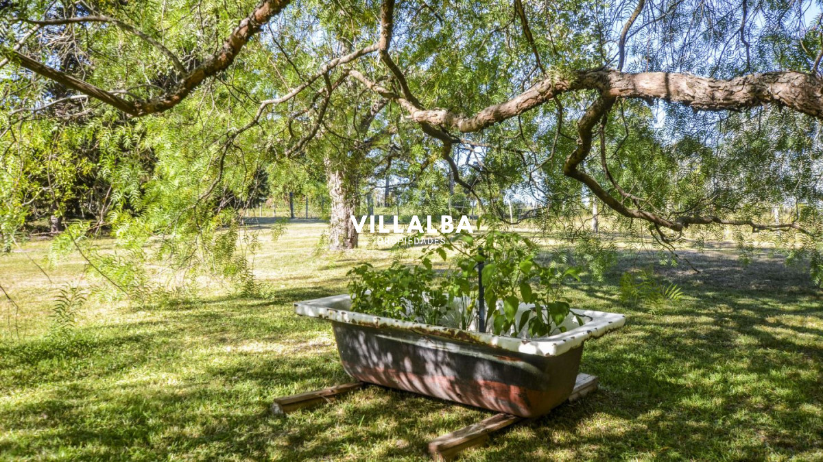 Chacra ID.4537 - 