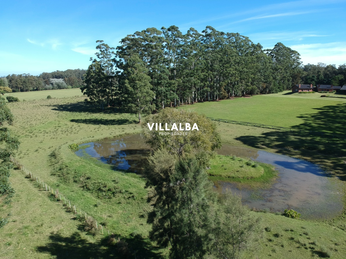 Chacra ID.4535 - chacra venta