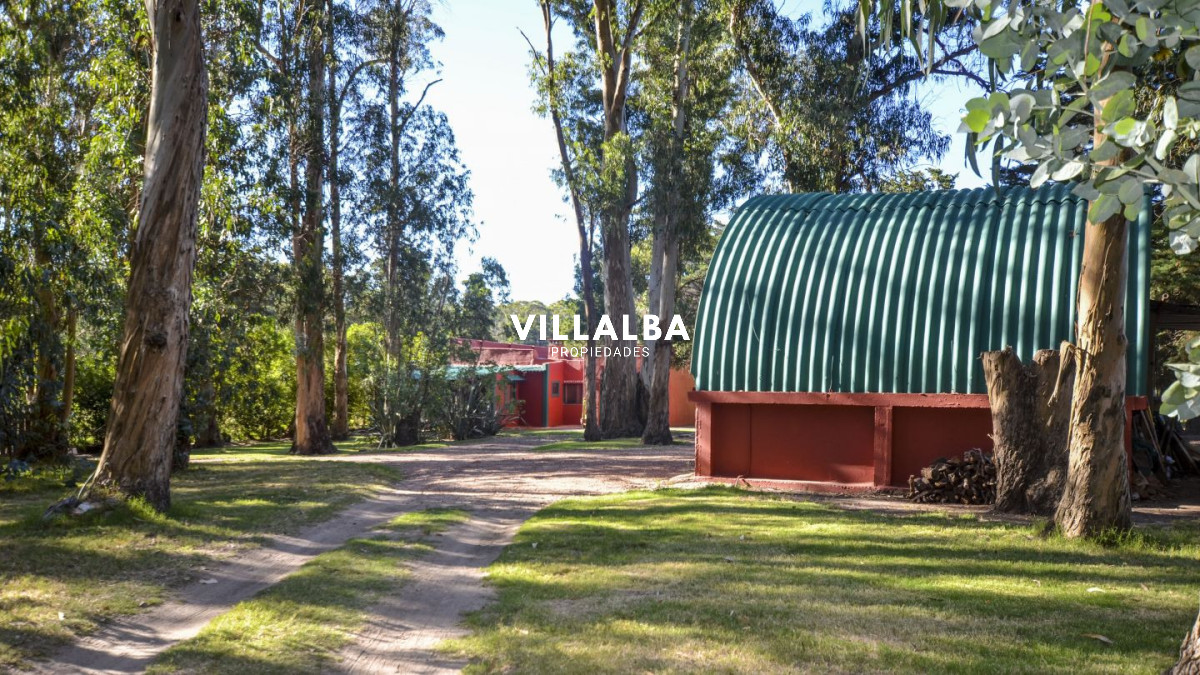 Chacra ID.4537 - 