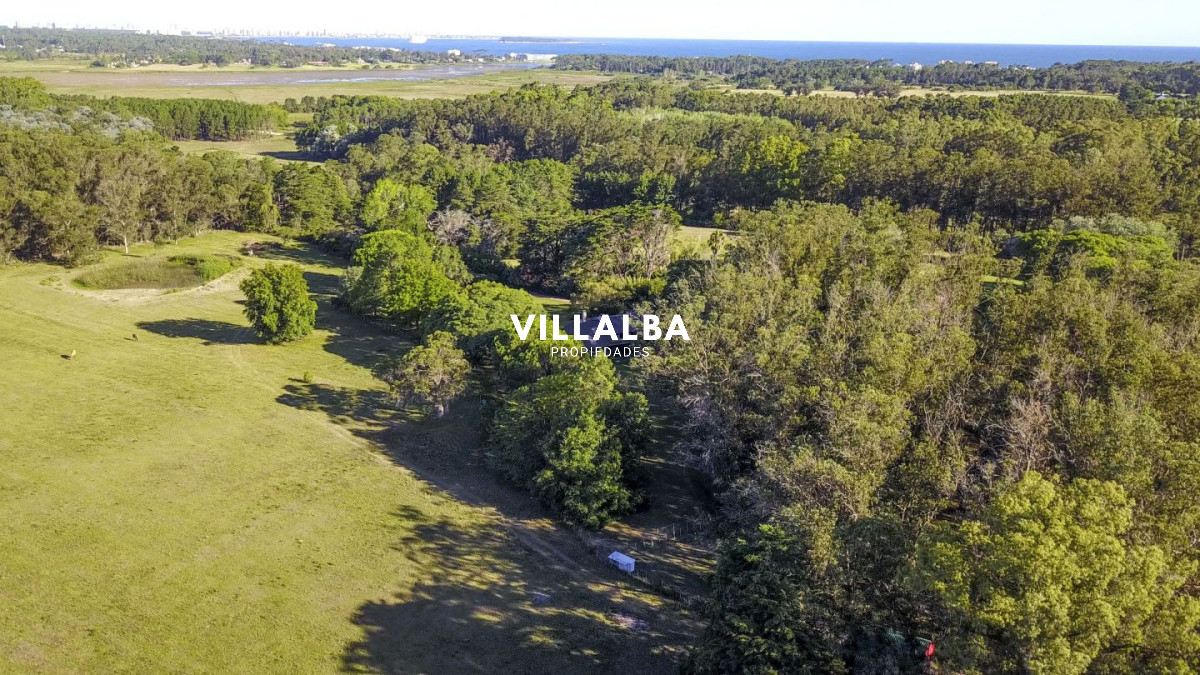 Chacra ID.4537 - 